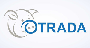 Отрада